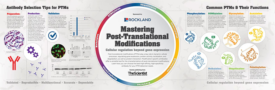 Mastering Post-Translational Modifications Poster